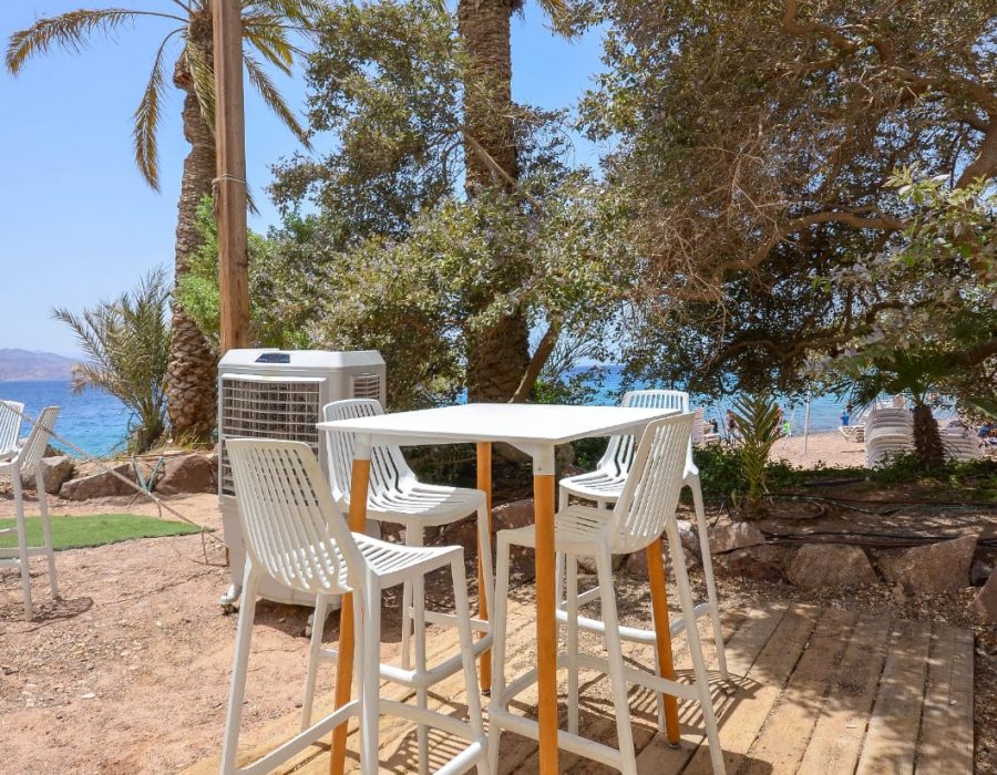 PHOTO-2025-08-21-11-00-32