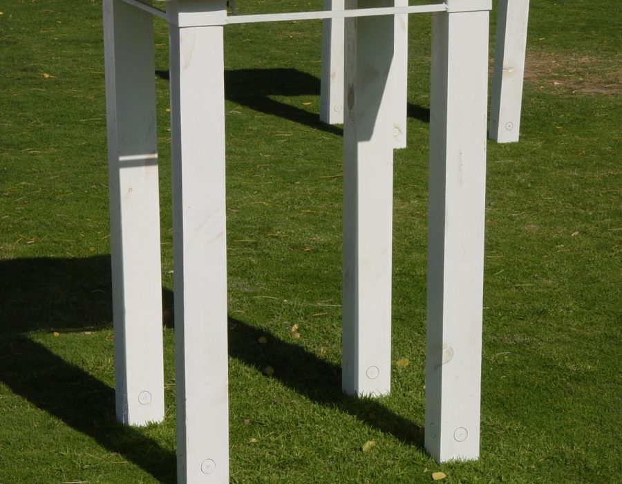 WhatsApp Image 2025-08-11 at 14.20.49