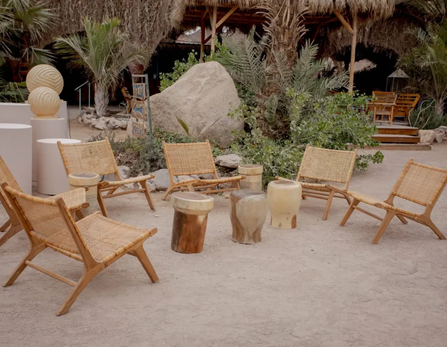 סיישל הדומים