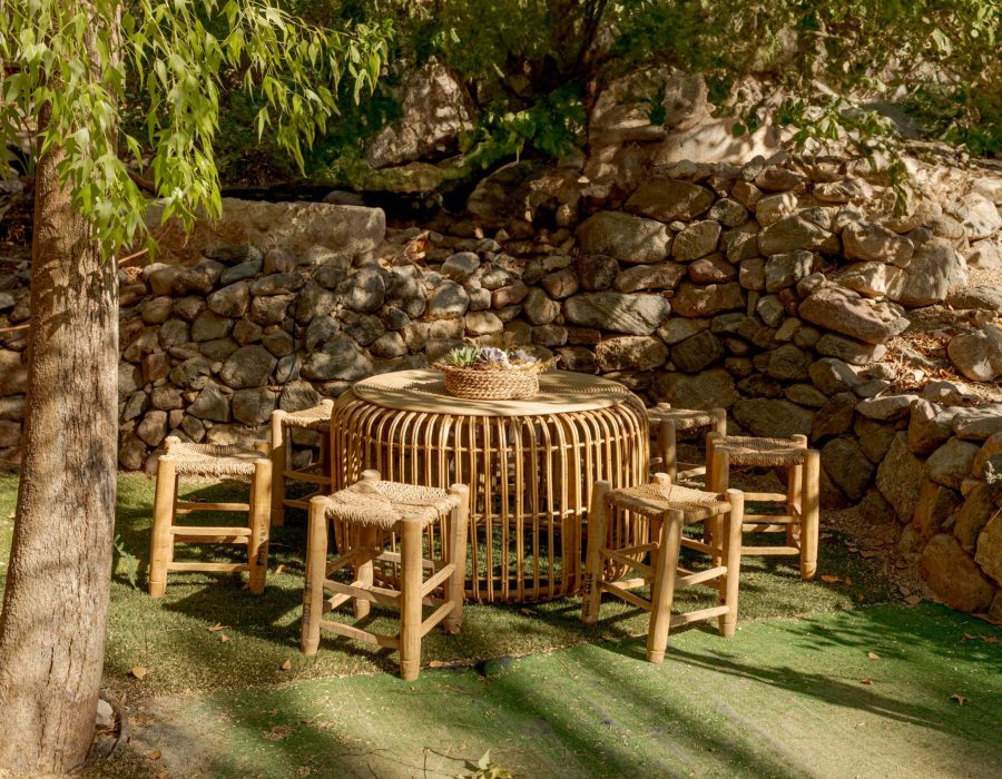 שרפרף בדואי